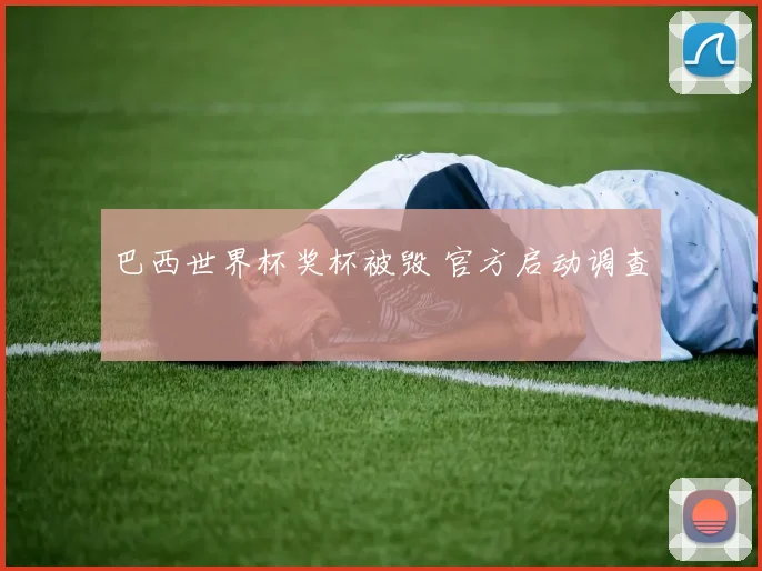 巴西世界杯奖杯被毁 官方启动调查